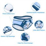 Adult Hipster Training Briefs - Little Blue
